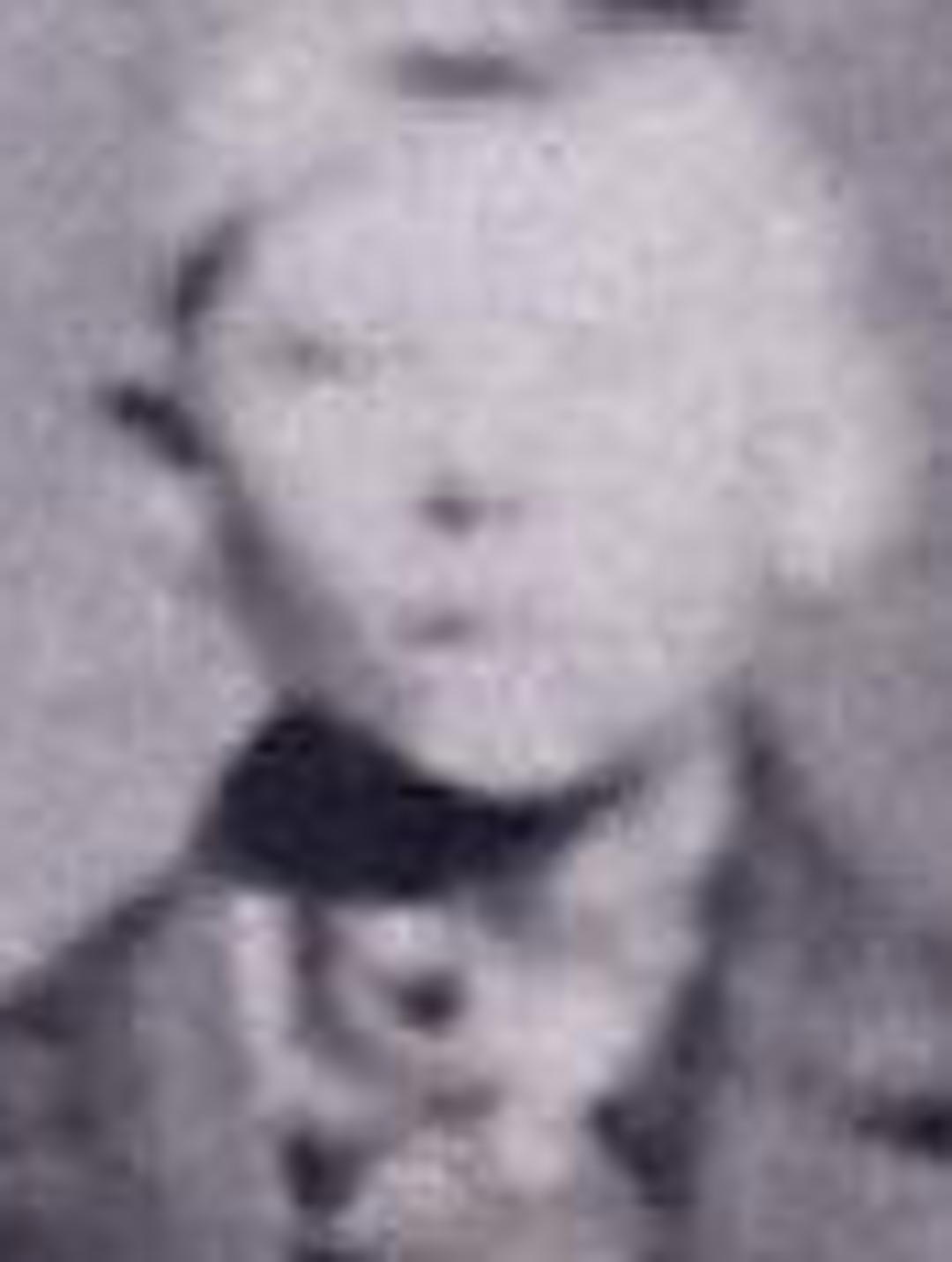 Niels Anthon Hansen (1857 - 1866) Profile